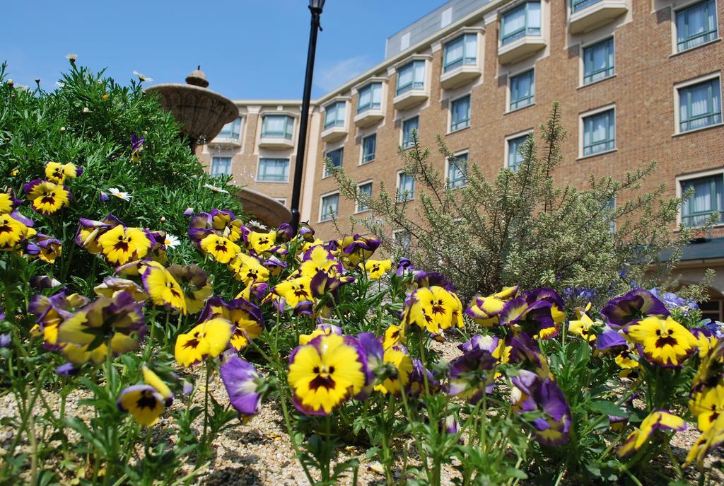 Royal Oak Hotel Spa & Gardens Otsu Esterno foto
